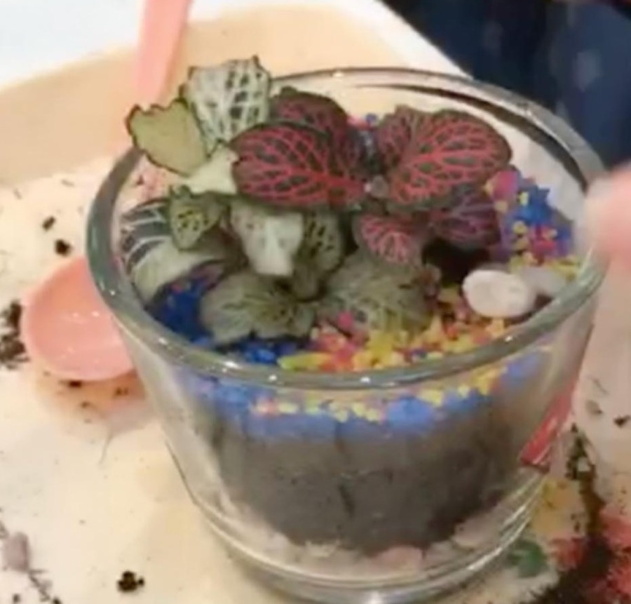 Hands finishing a mini glass terrarium with colourful sand and small plants