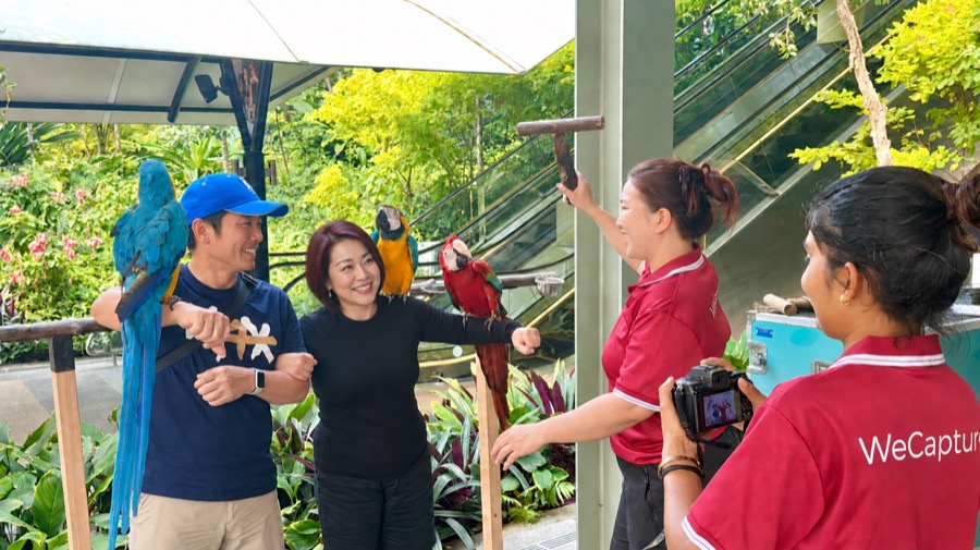 Visitors having a photo taken with colourful macaws at Sentosa Sensoryscape
